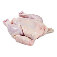 1 case minimum, 20 birds